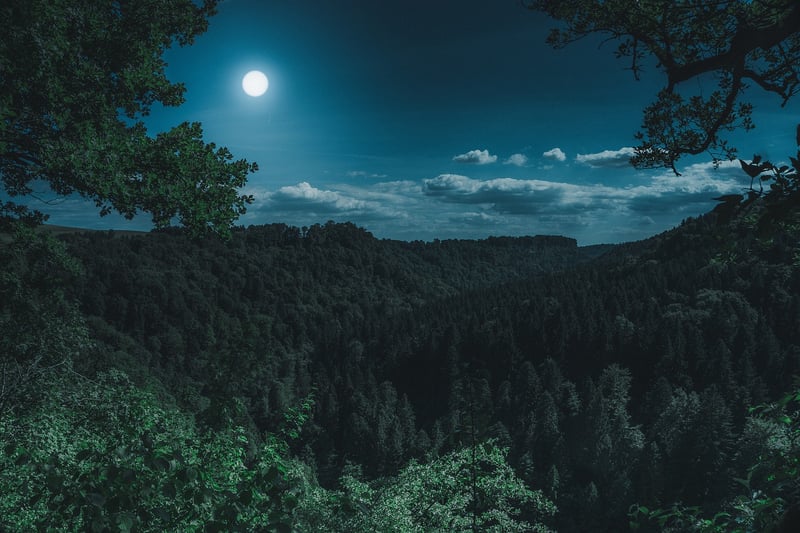 Moon Garden